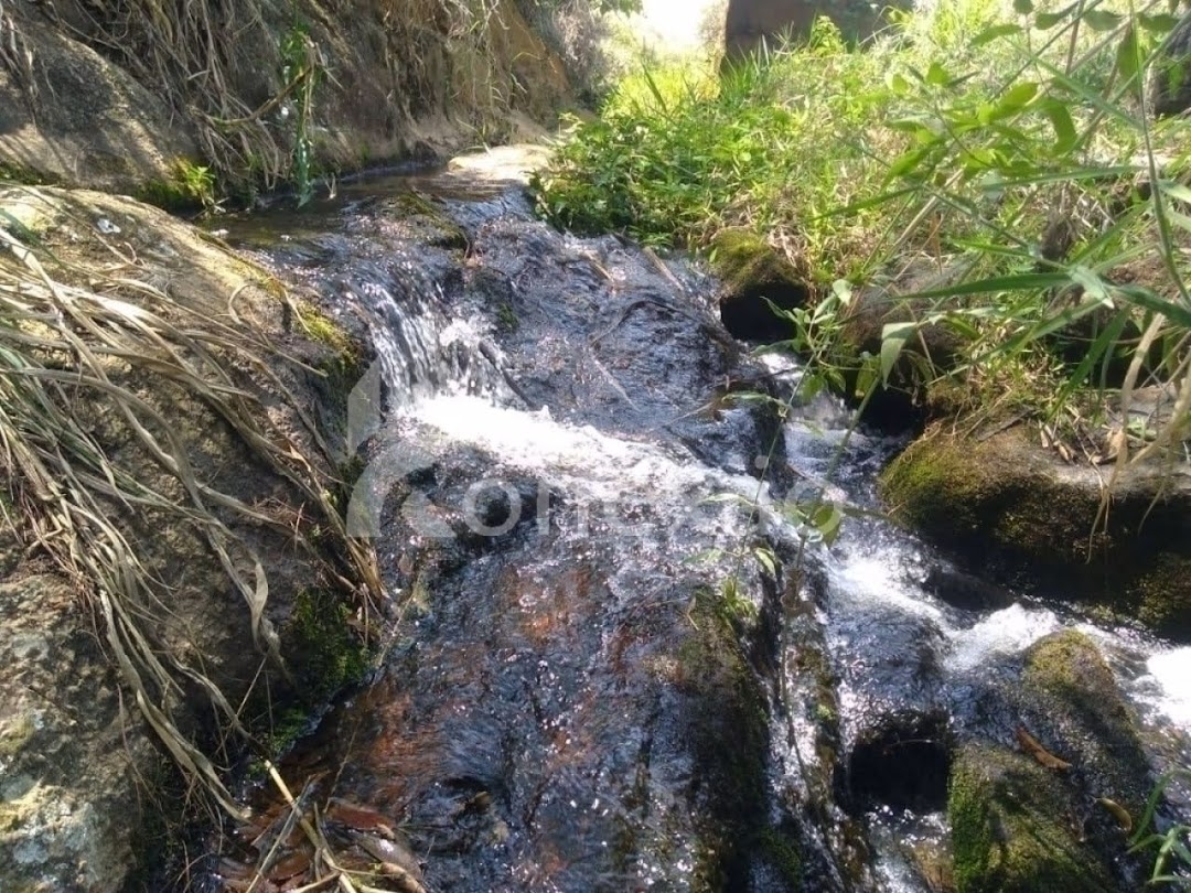 Fazenda, 203 hectares - Foto 2