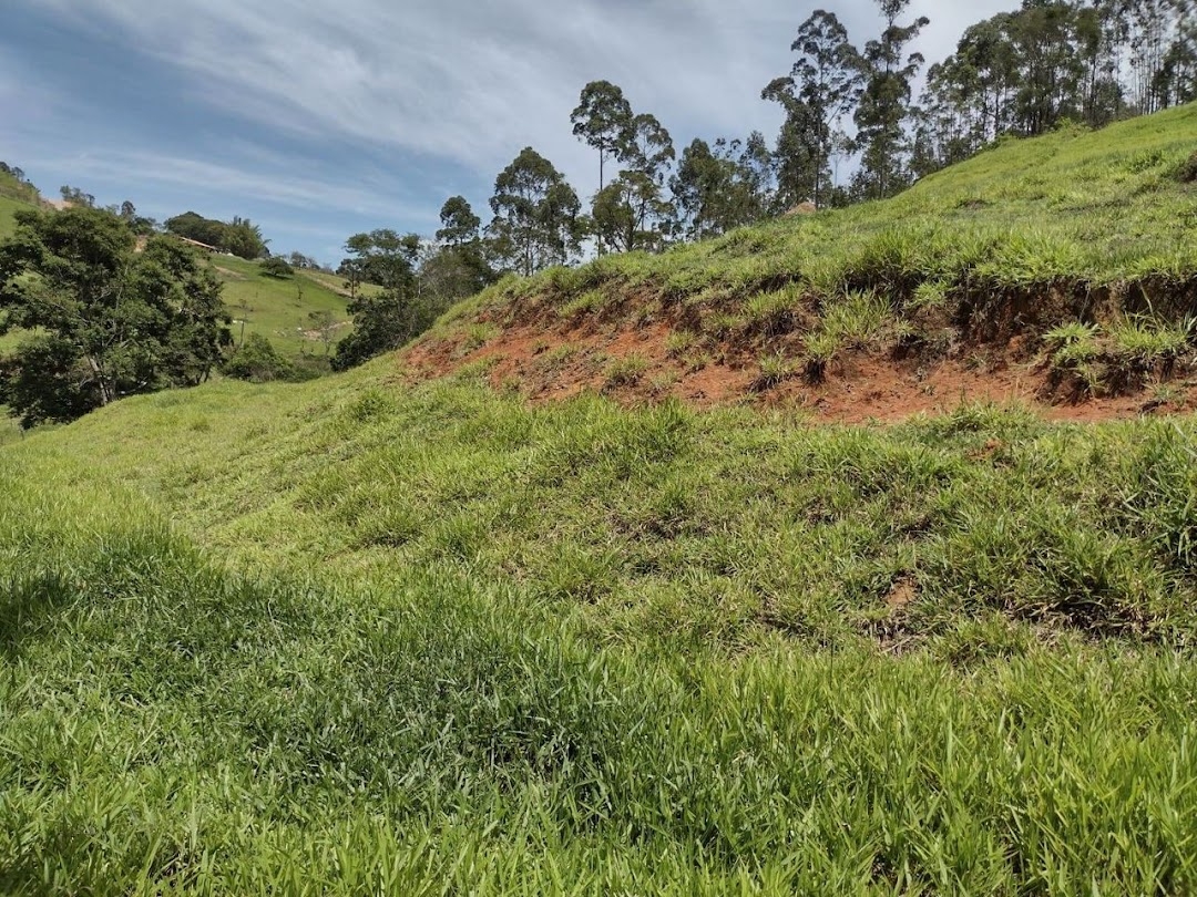 Sítio, 2 quartos, 100 m² - Foto 18