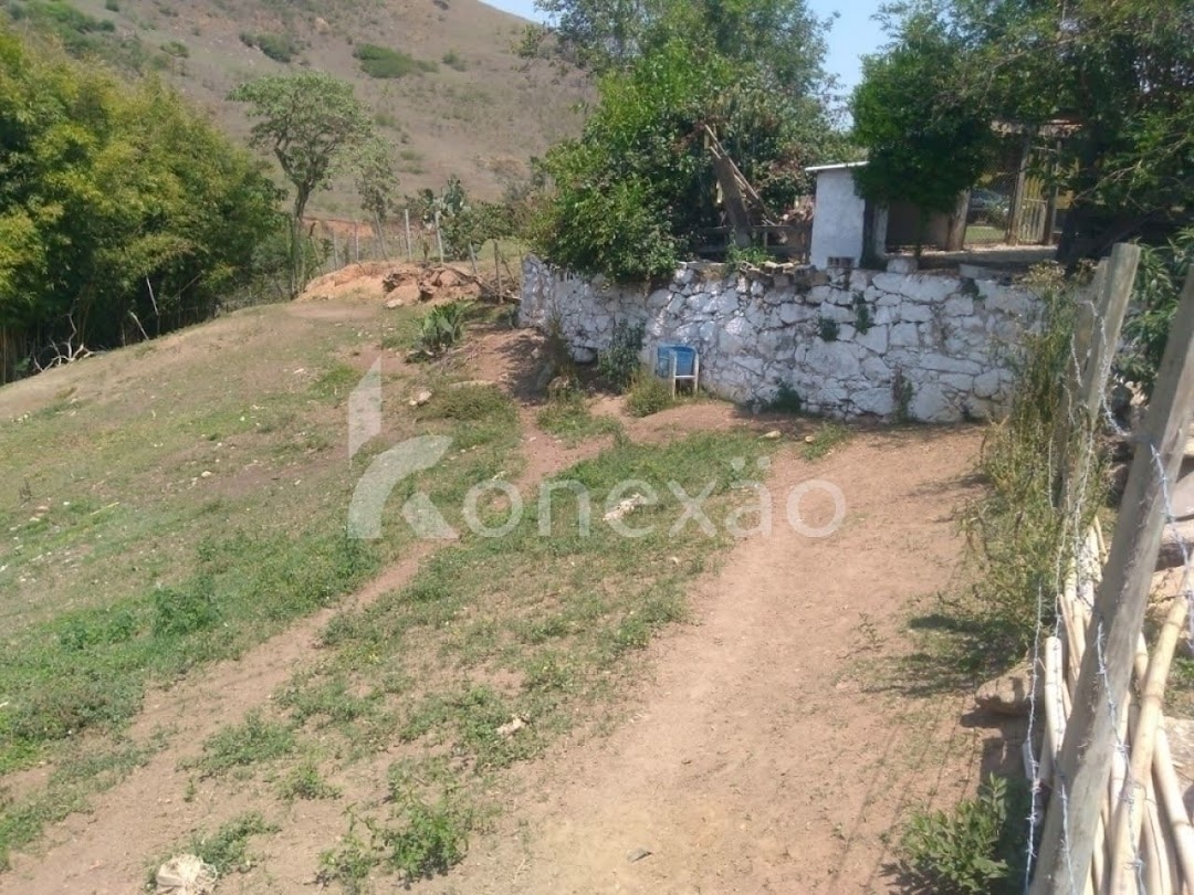 Fazenda, 203 hectares - Foto 5