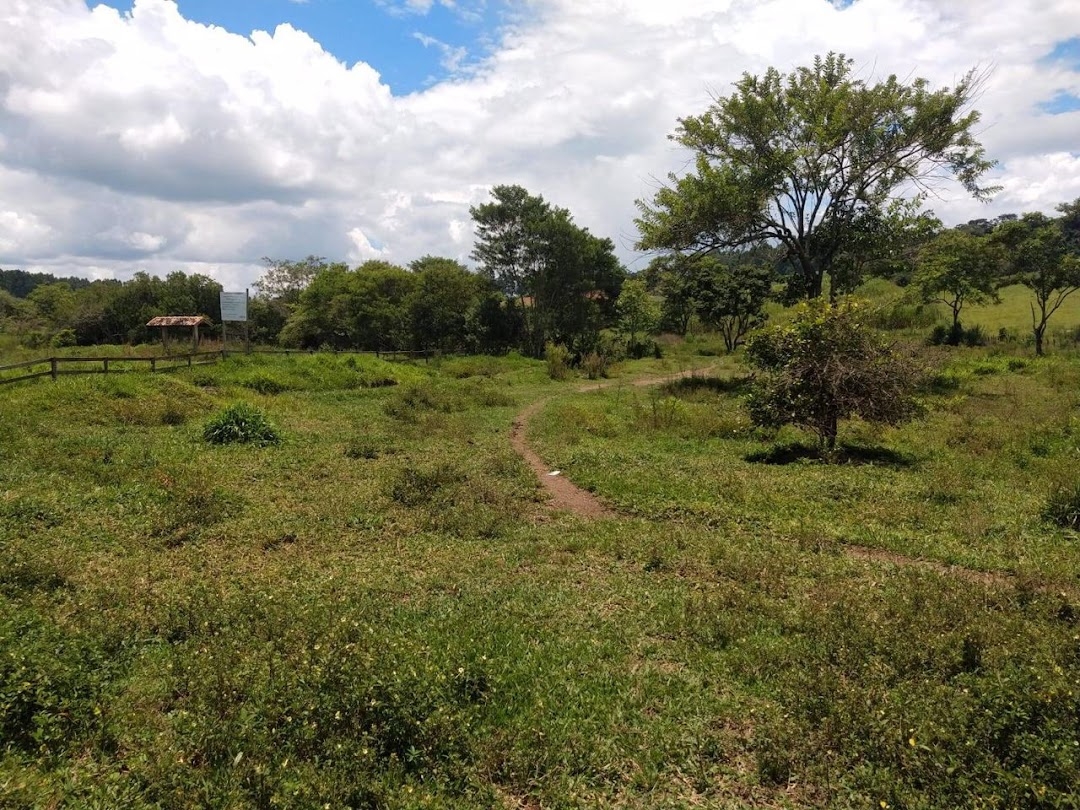 Sítio, 2 quartos, 100 m² - Foto 23