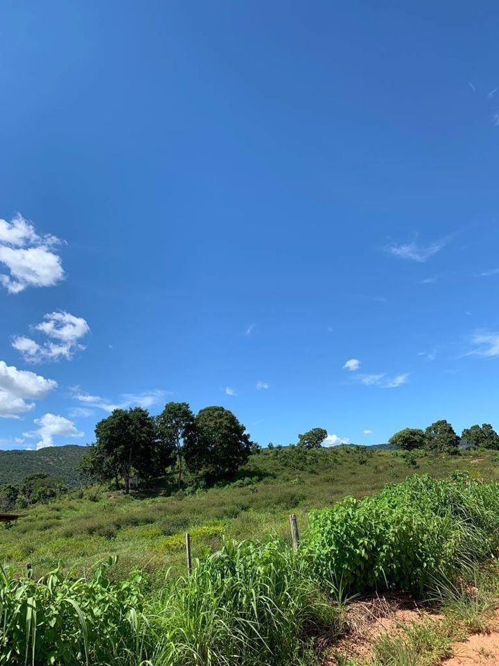 Fazenda-Sítio-Chácara, 200 m² - Foto 72