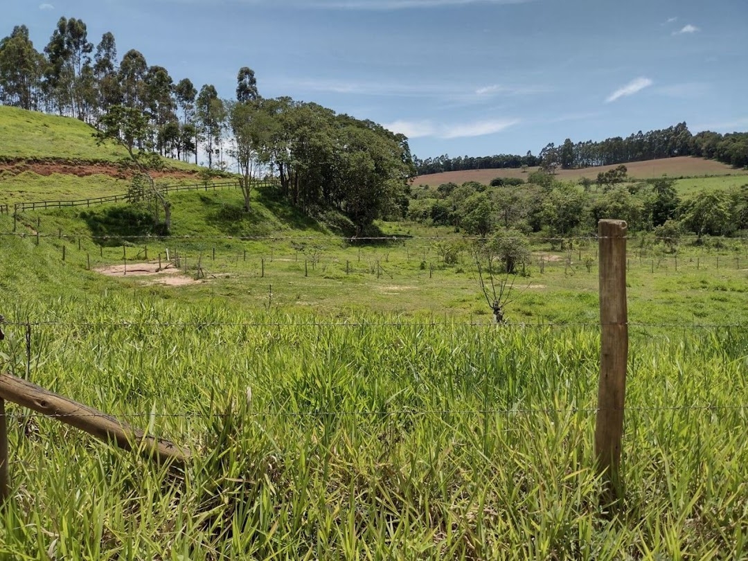 Sítio, 2 quartos, 100 m² - Foto 19