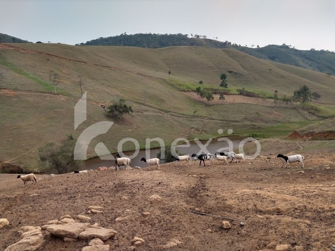 Fazenda, 203 hectares - Foto 1