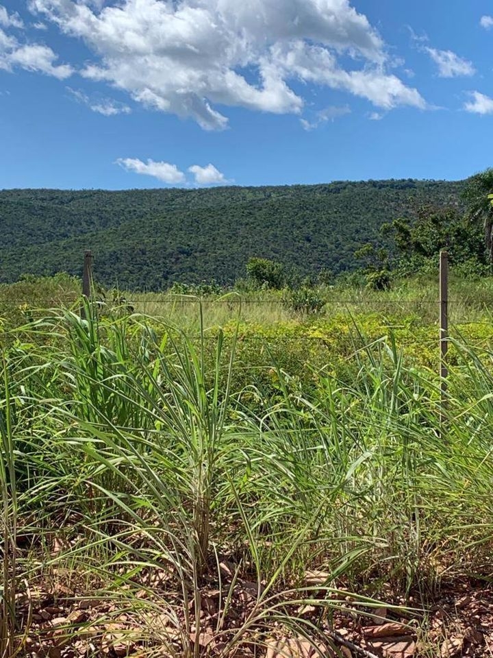 Fazenda-Sítio-Chácara, 200 m² - Foto 86
