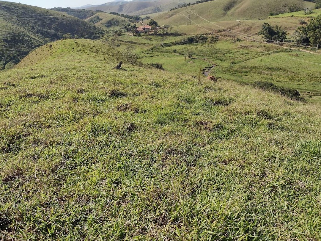 Fazenda em São José do Barreiro/São Paulo — Ref U5AZHU — Imagem 14