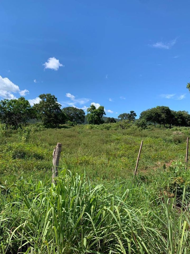 Fazenda-Sítio-Chácara, 200 m² - Foto 77