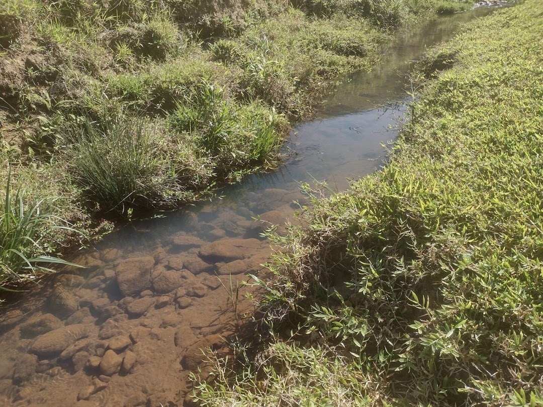 Fazenda em São José do Barreiro/São Paulo — Ref U5AZHU — Imagem 2
