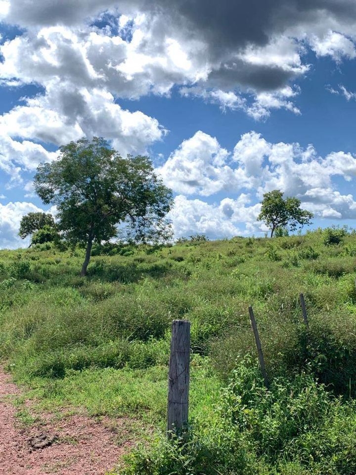 Fazenda-Sítio-Chácara, 200 m² - Foto 73
