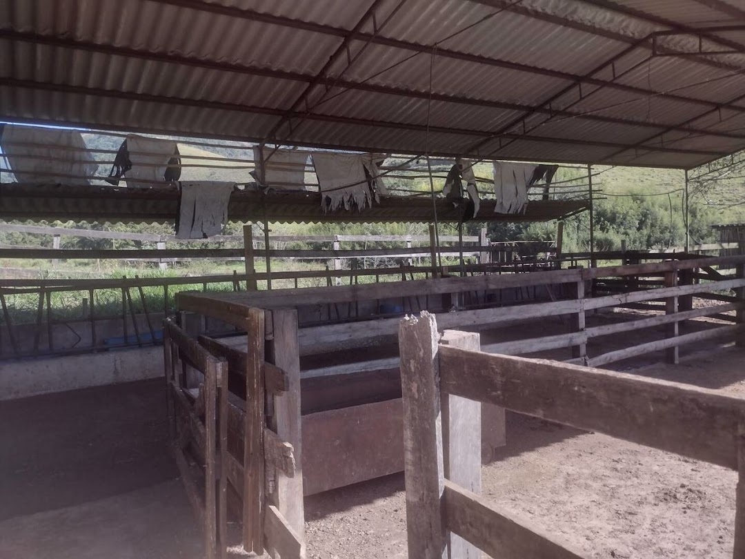 Fazenda em São José do Barreiro/São Paulo — Ref U5AZHU — Imagem 6