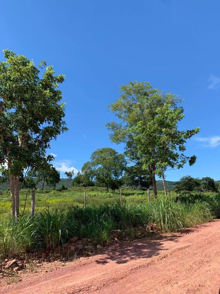 Fazenda-Sítio-Chácara, 200 m² - Foto 79