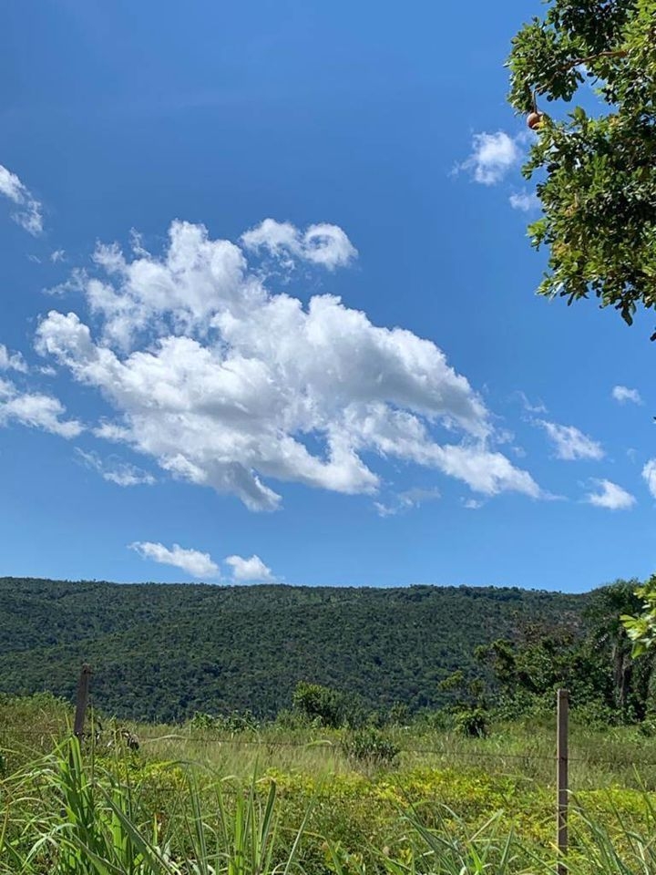 Fazenda-Sítio-Chácara, 200 m² - Foto 81