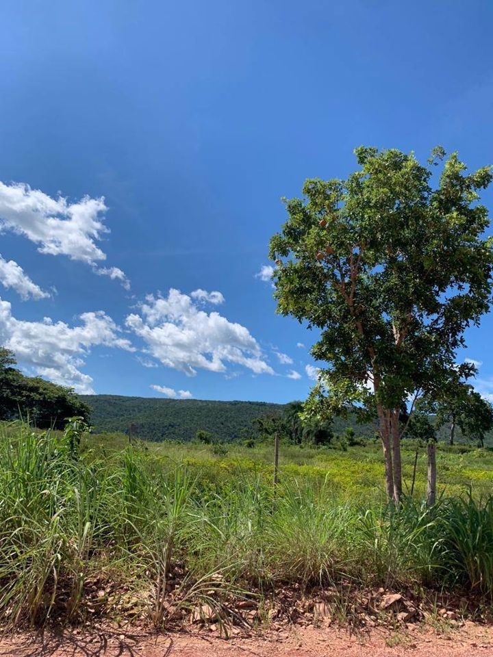 Fazenda-Sítio-Chácara, 200 m² - Foto 83