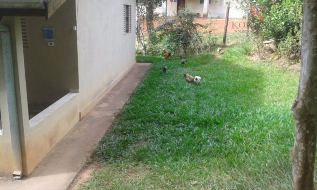 Sítio, 2 quartos, 100 m² - Foto 5