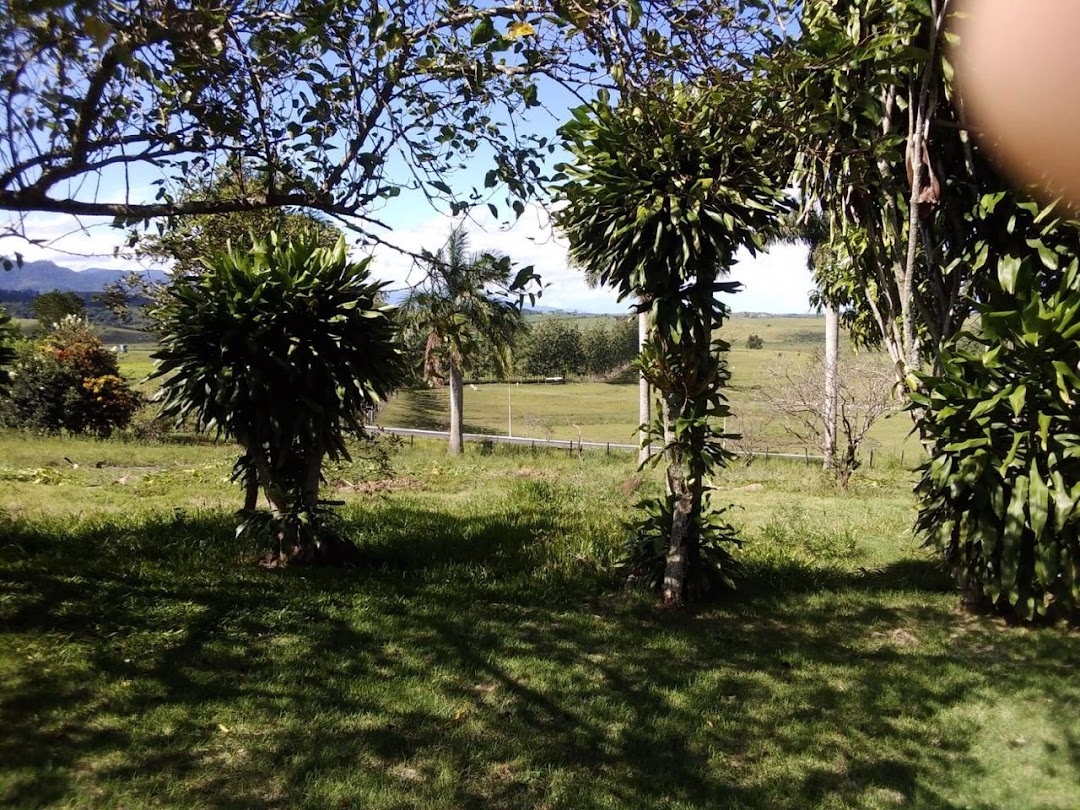 Sítio, 1 quarto, 150 m² - Foto 19