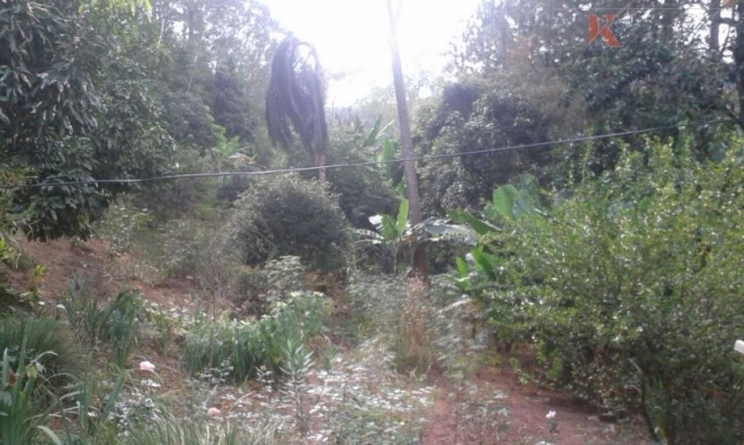 Chácara, 2 quartos, 100 m² - Foto 19