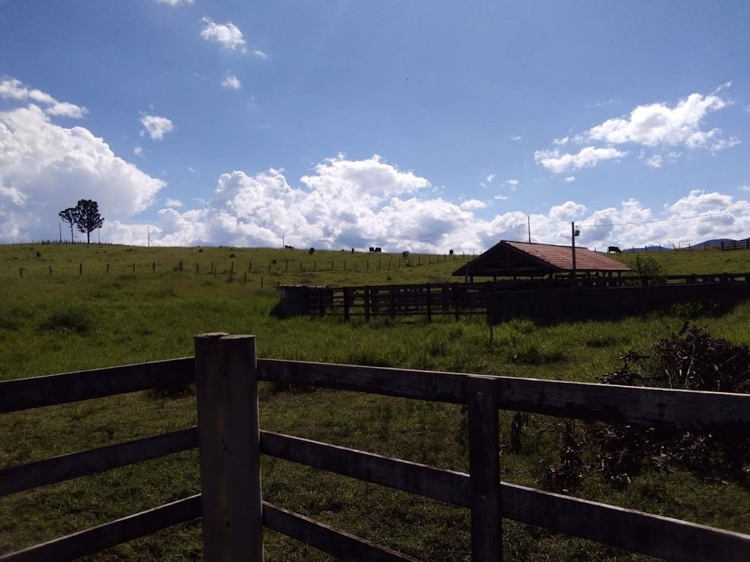 Sítio, 1 quarto, 150 m² - Foto 5