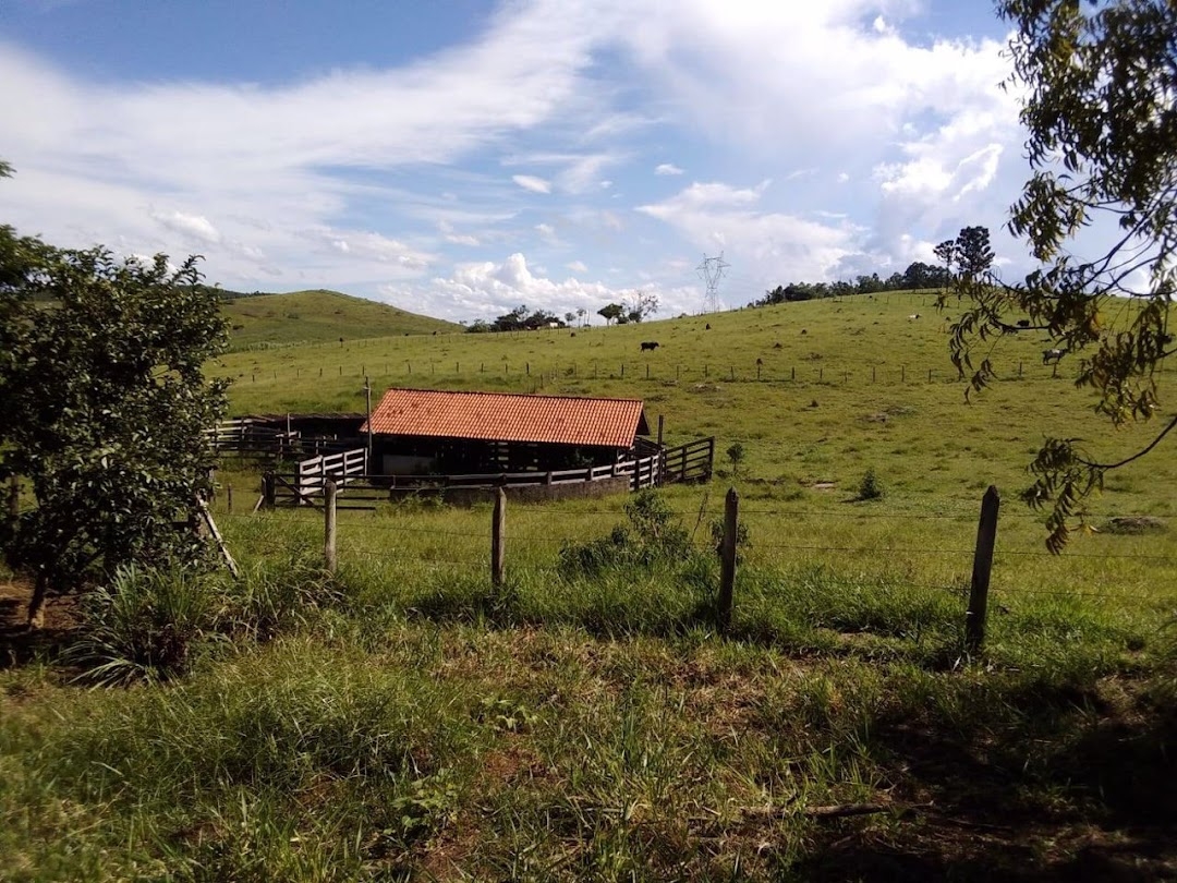 Sítio, 1 quarto, 150 m² - Foto 31