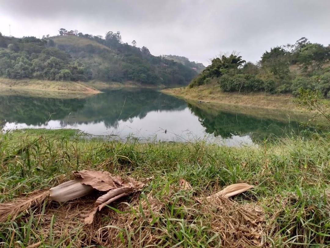 Sítio, 4 quartos, 150 m² - Foto 2