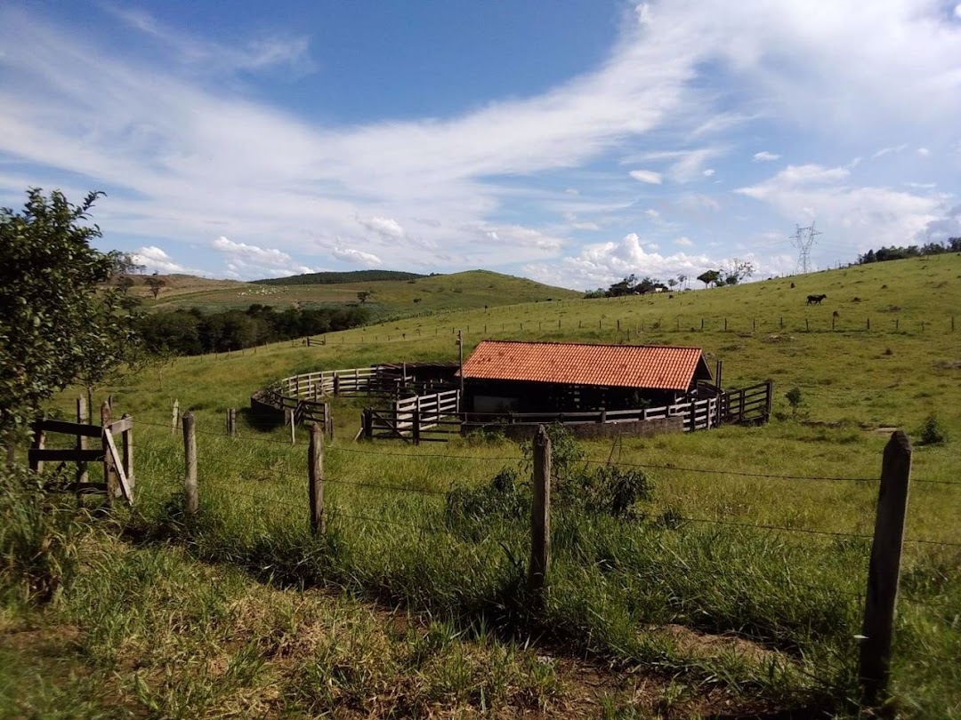 Sítio, 1 quarto, 150 m² - Foto 33