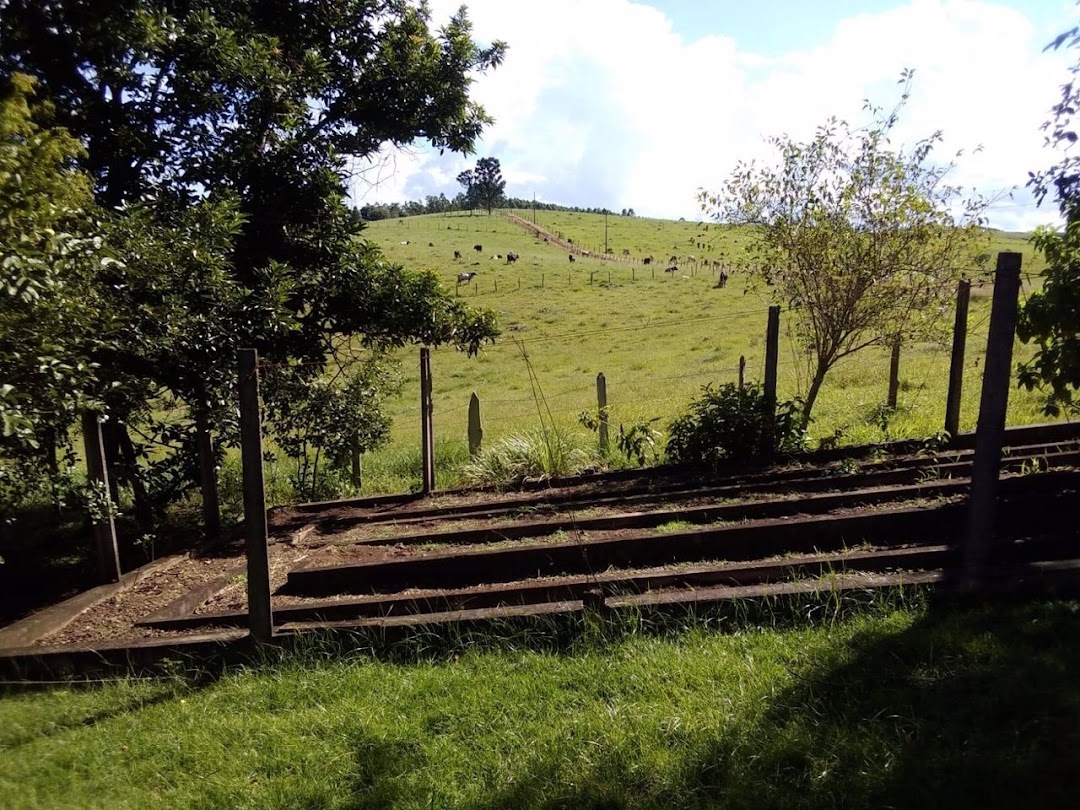 Sítio, 1 quarto, 150 m² - Foto 34