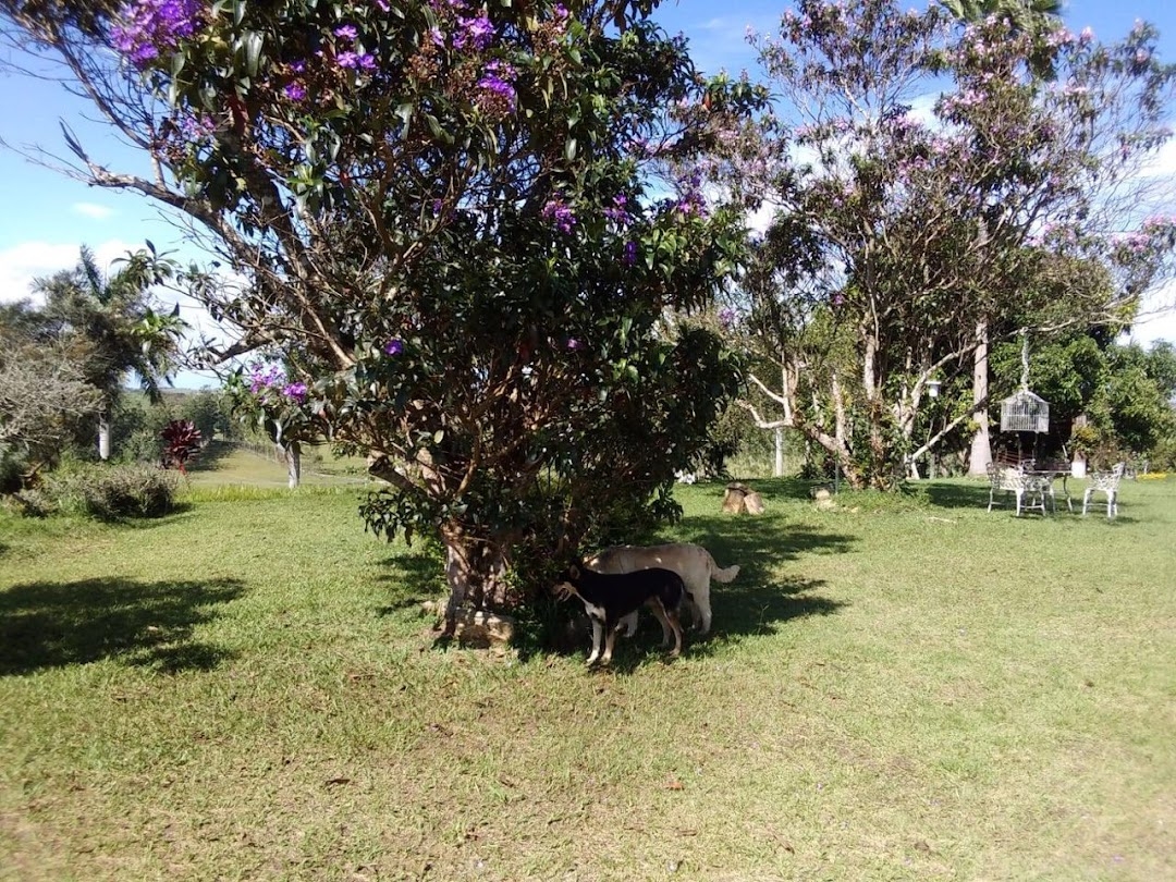 Sítio, 1 quarto, 150 m² - Foto 23