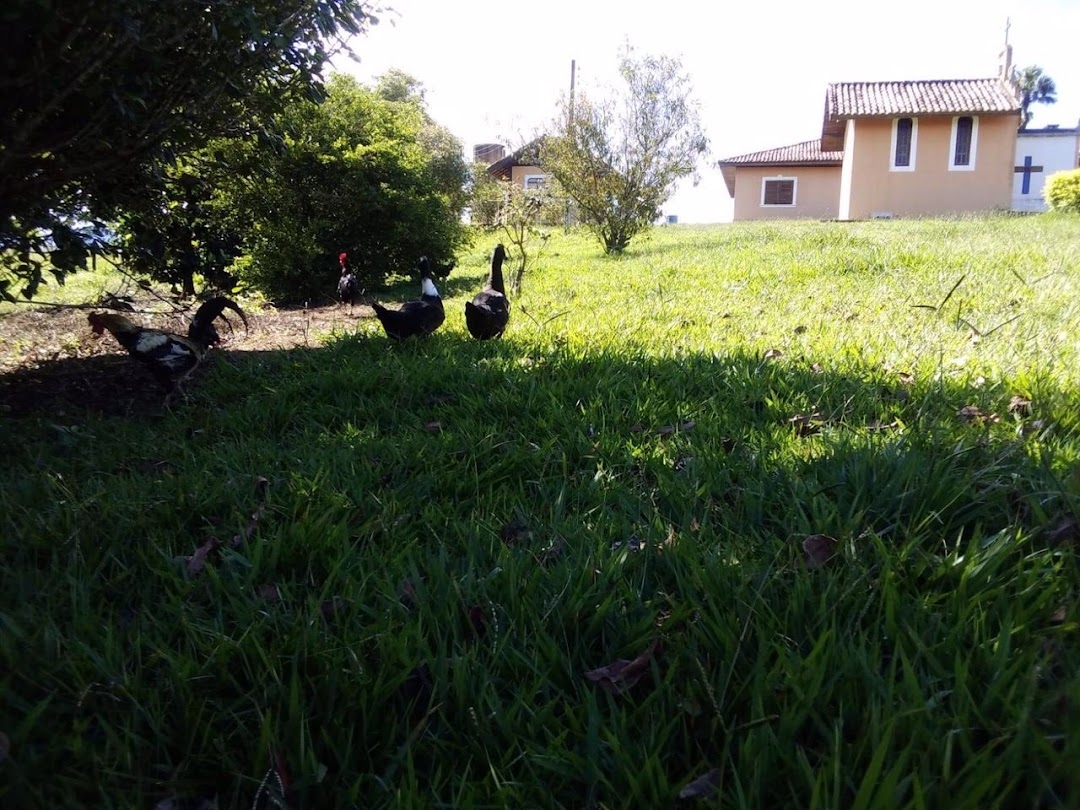 Sítio, 1 quarto, 150 m² - Foto 39