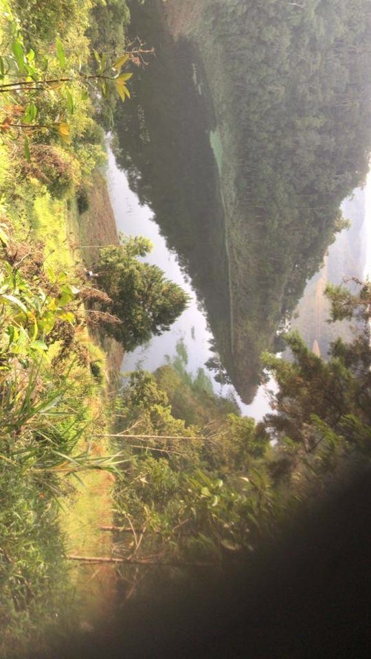 Fazenda, 200 m² - Foto 3