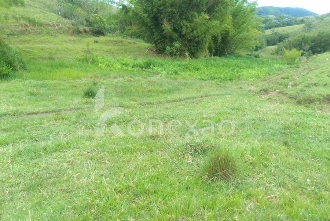 Sítio, 4 quartos, 300 m² - Foto 9