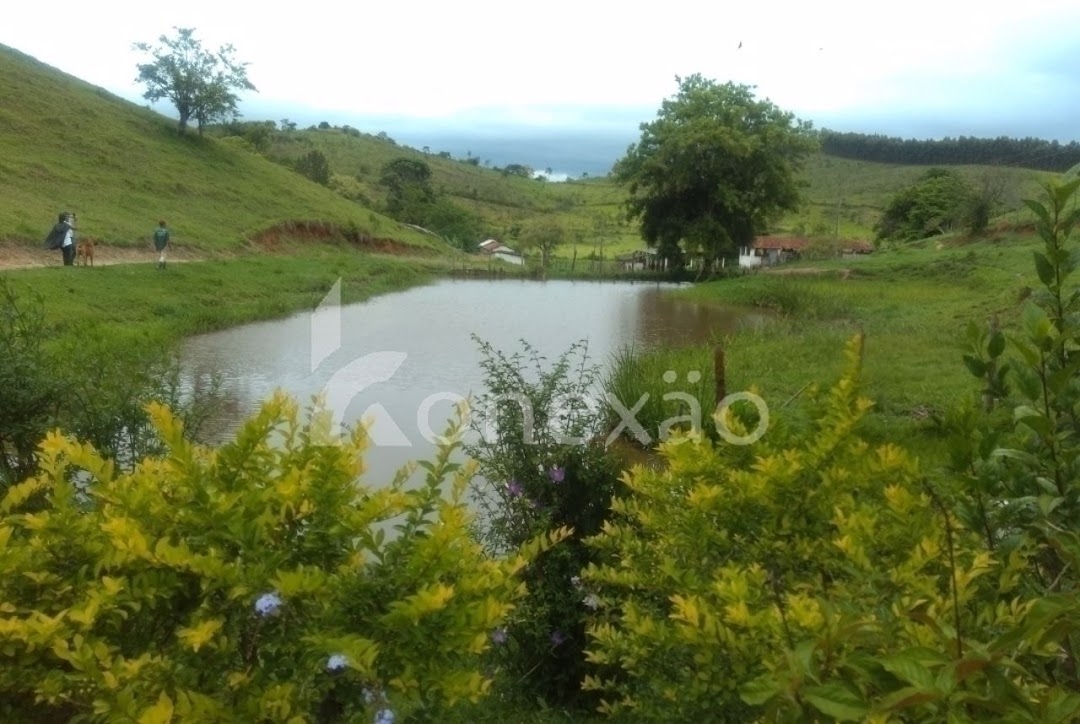 Sítio, 4 quartos, 300 m² - Foto 1