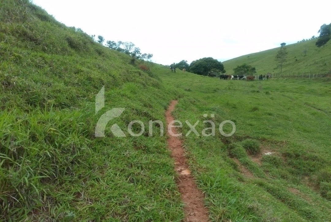 Sítio, 4 quartos, 300 m² - Foto 6