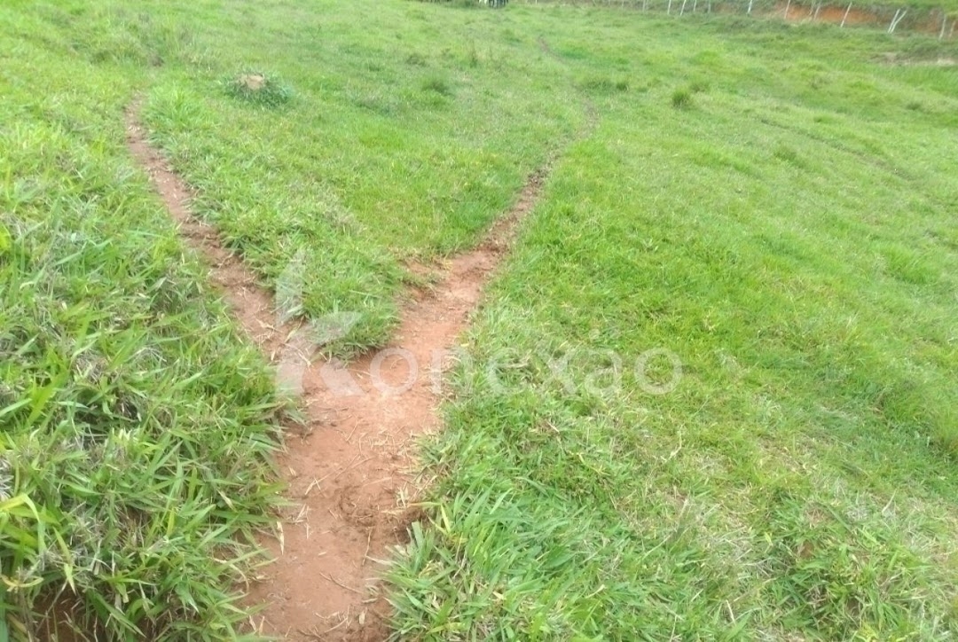 Sítio, 4 quartos, 300 m² - Foto 8