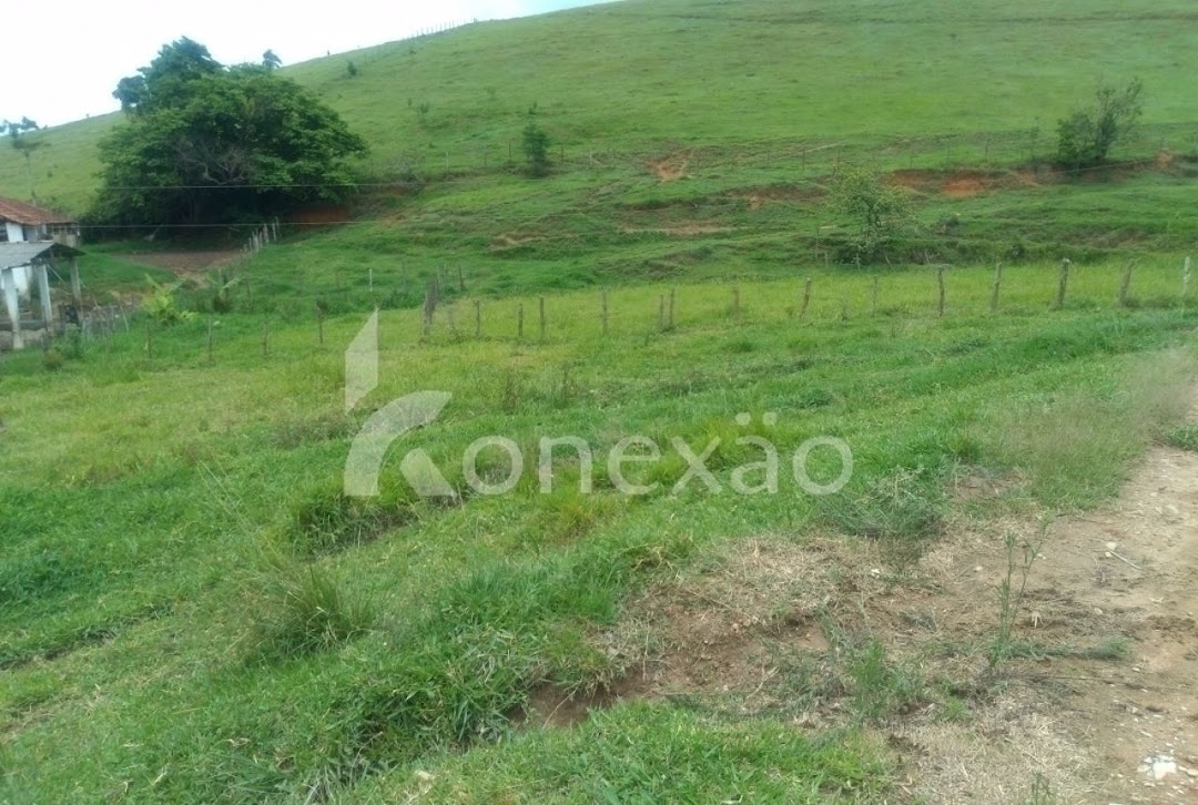 Sítio, 4 quartos, 300 m² - Foto 14