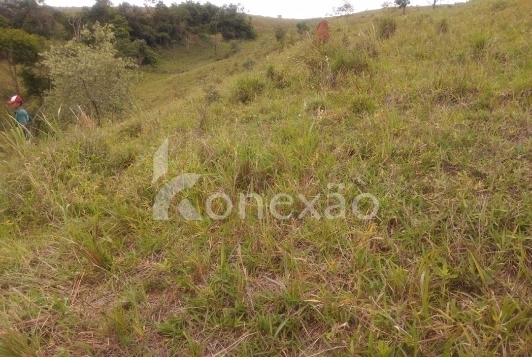 Sítio, 4 quartos, 300 m² - Foto 4