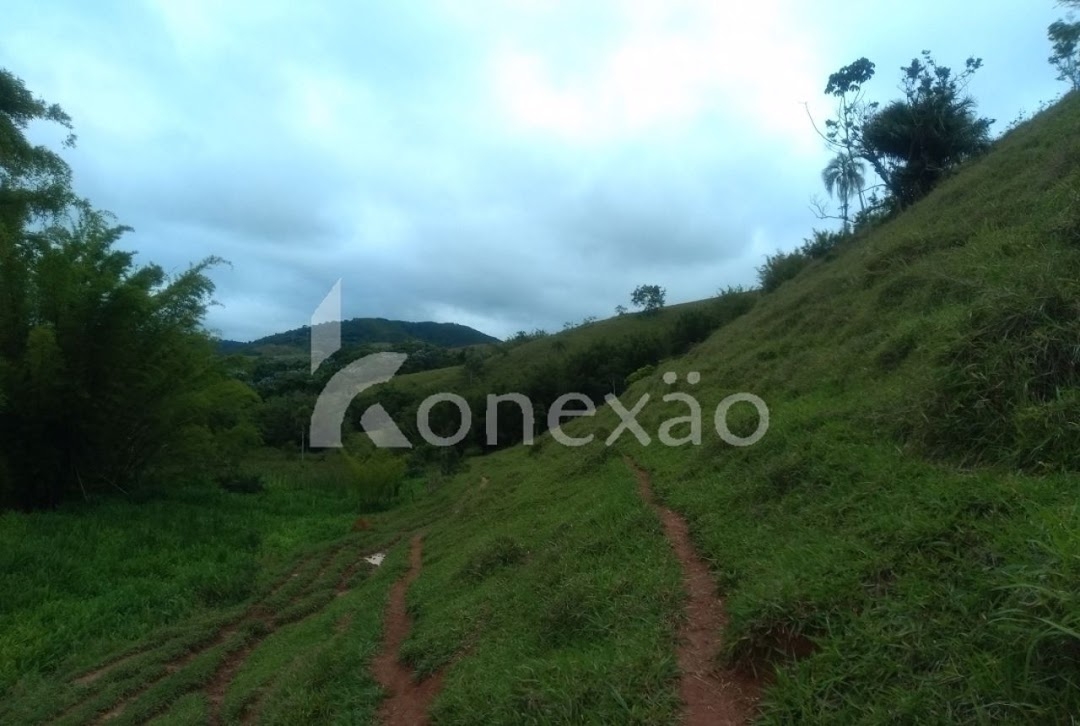 Sítio, 4 quartos, 300 m² - Foto 7