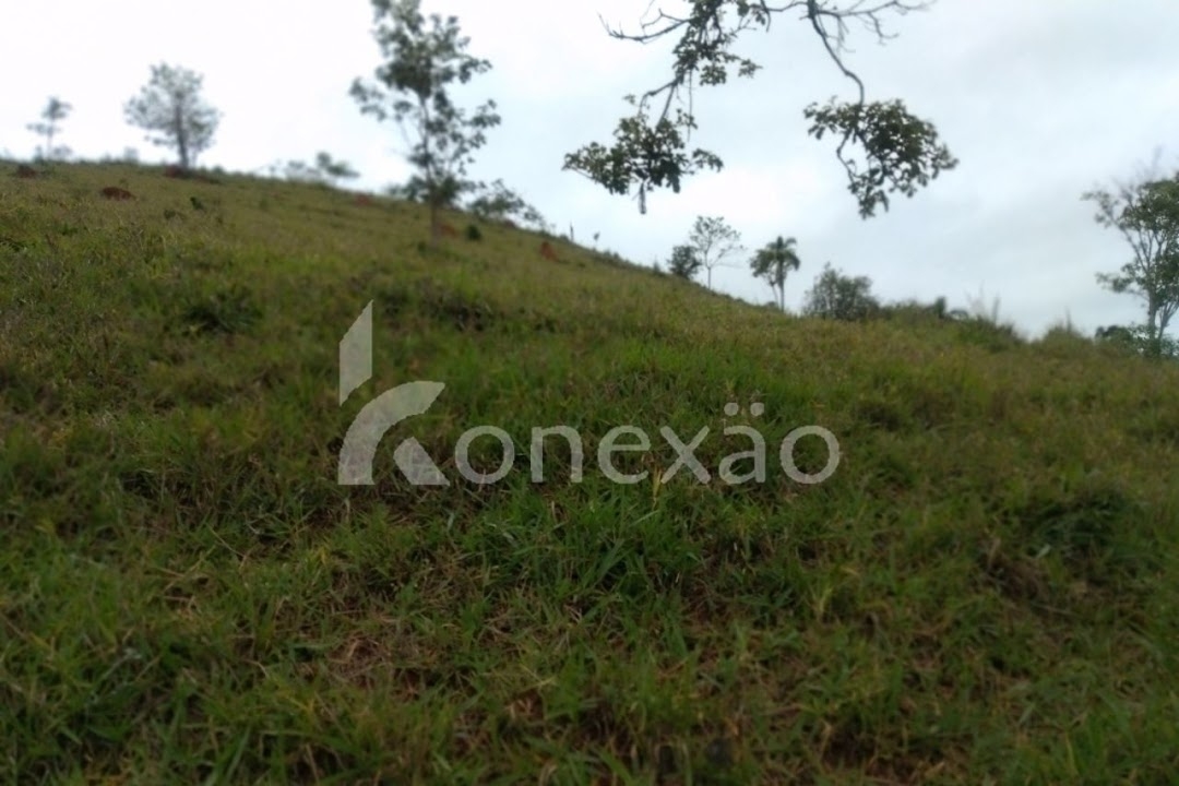 Sítio, 4 quartos, 300 m² - Foto 3