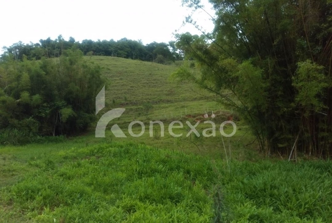 Sítio, 4 quartos, 300 m² - Foto 5