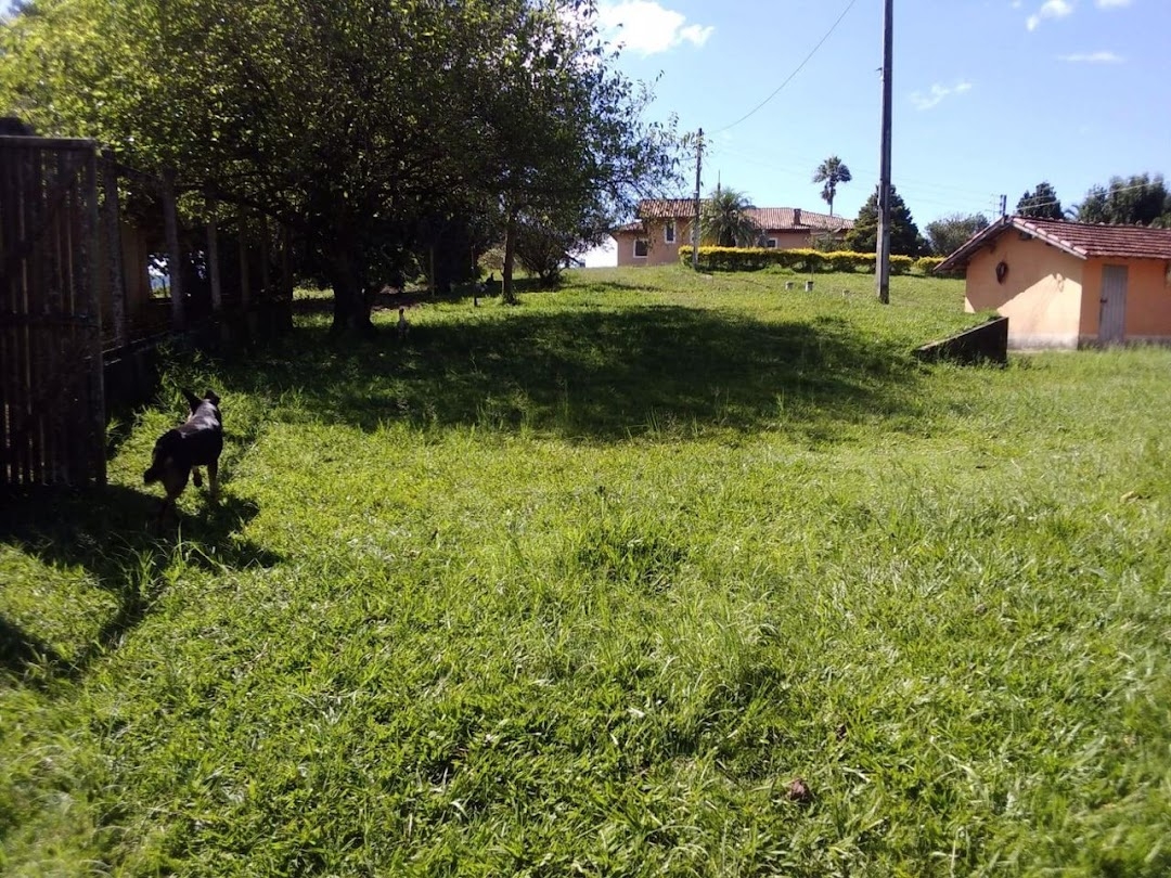 Sítio, 1 quarto, 150 m² - Foto 42