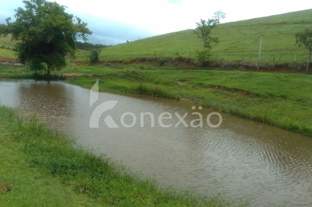 Sítio, 4 quartos, 300 m² - Foto 12