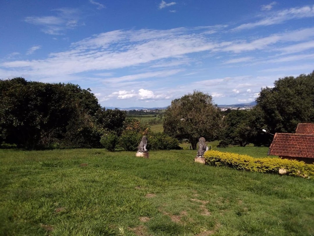 Sítio, 1 quarto, 150 m² - Foto 36