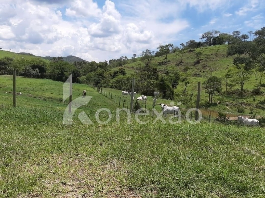 Fazenda, 250 m² - Foto 16