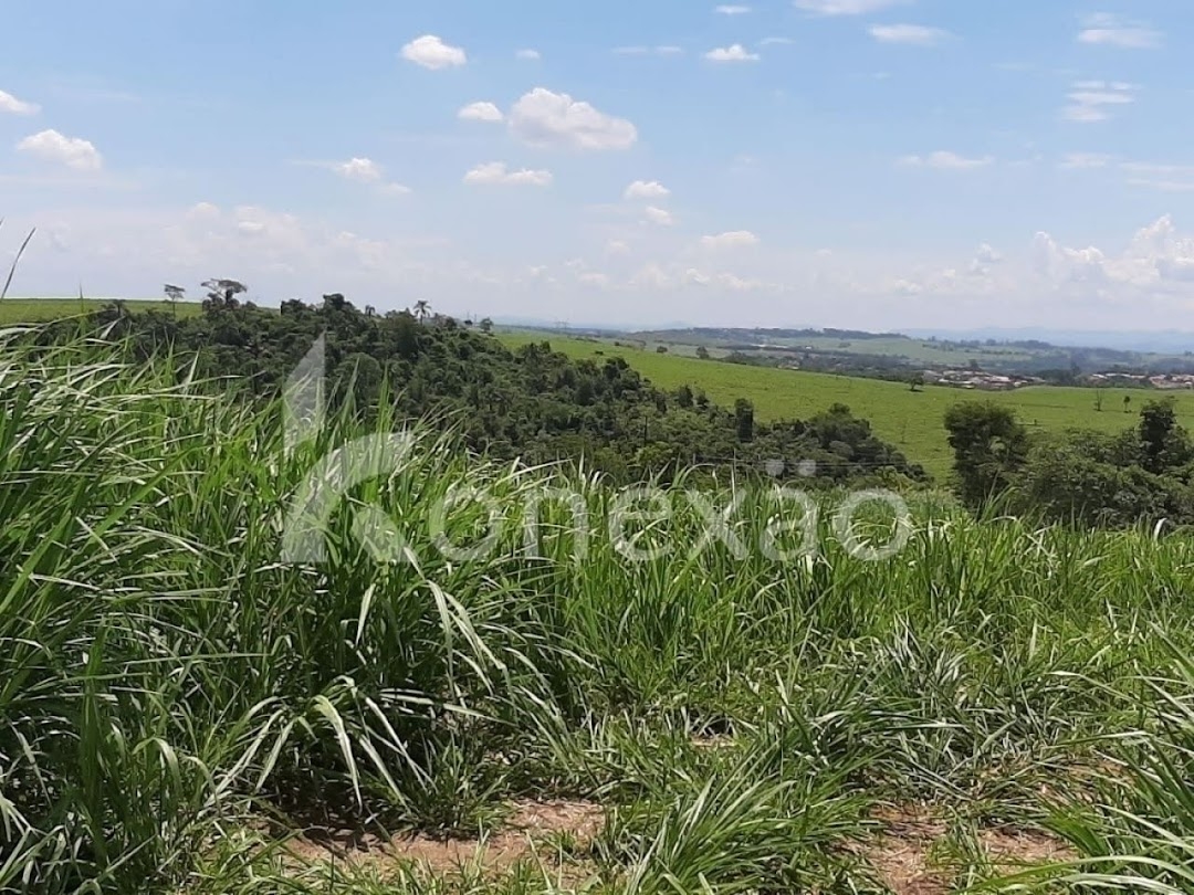 Fazenda, 250 m² - Foto 8