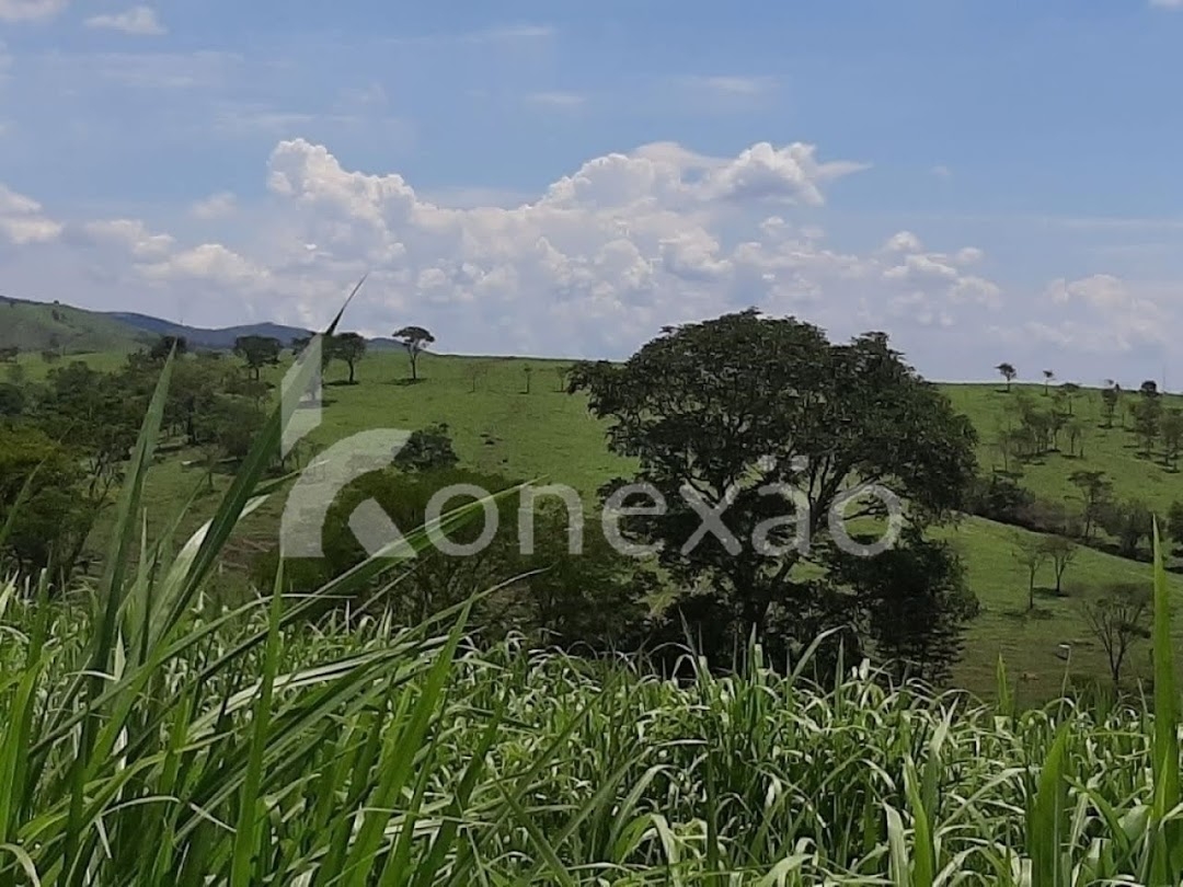 Fazenda, 250 m² - Foto 12