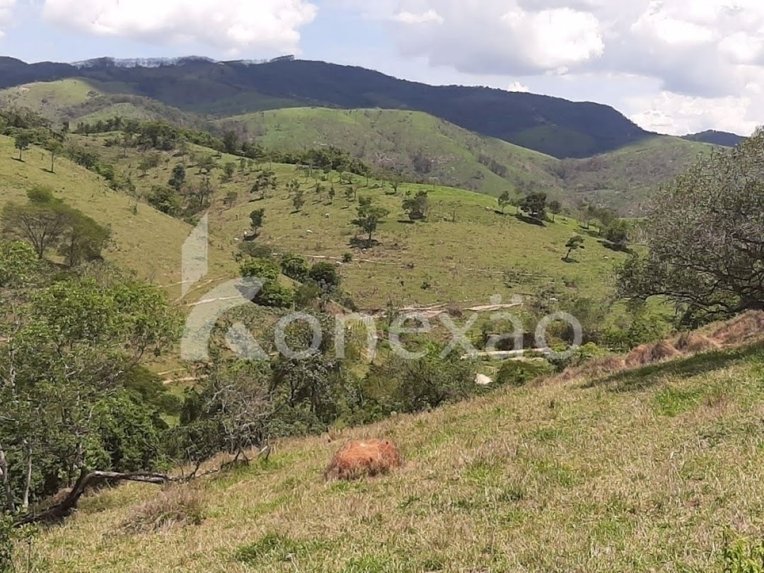 Fazenda, 250 m² - Foto 6
