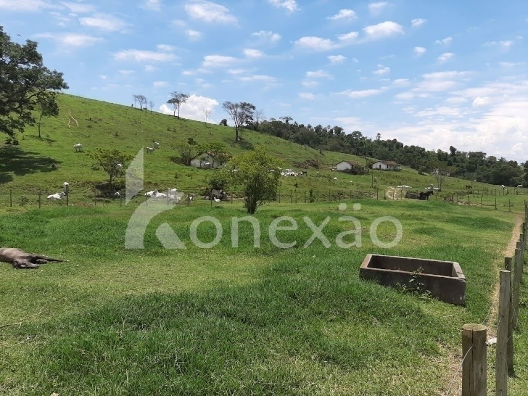 Fazenda, 250 m² - Foto 2