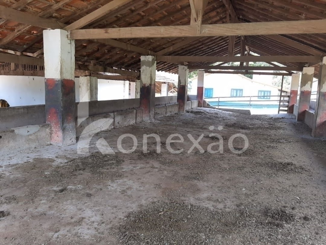 Fazenda, 250 m² - Foto 22