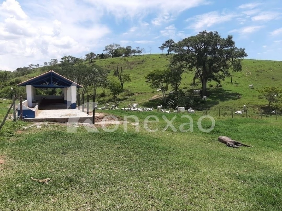 Fazenda, 250 m² - Foto 23
