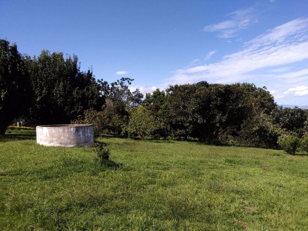 Sítio, 1 quarto, 150 m² - Foto 41