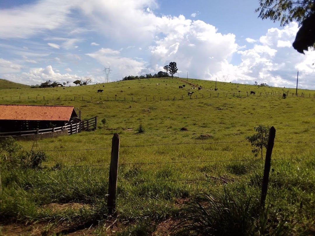 Sítio, 1 quarto, 150 m² - Foto 35