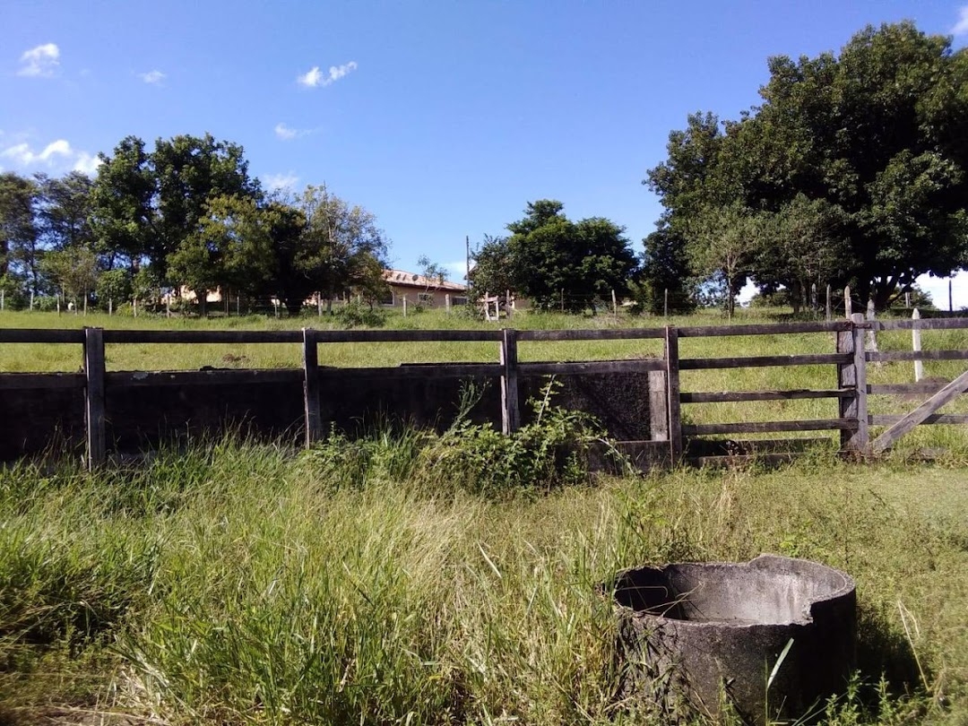 Sítio, 1 quarto, 150 m² - Foto 48