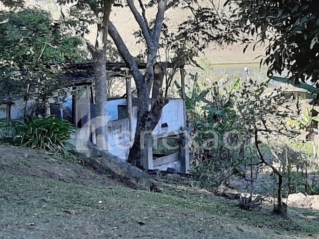 Chácara, 4 quartos, 2000 m² - Foto 4